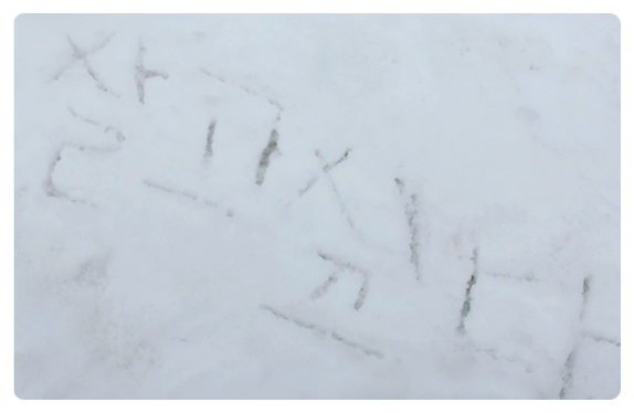 雪に”生きたい”と書かれた文字